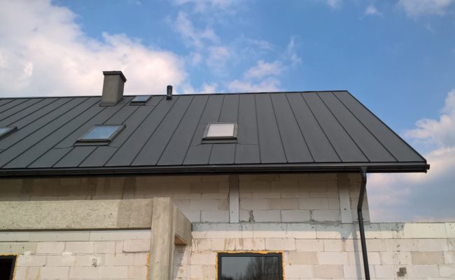 WP_20200403_12_31_12_Rich