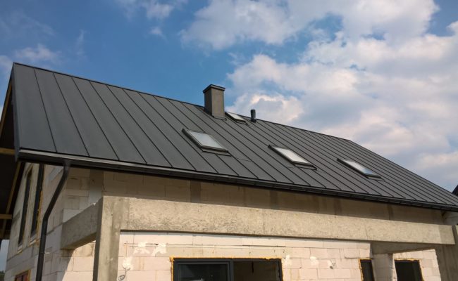 WP_20200403_12_31_27_Rich