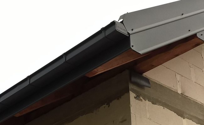 6. WP_20211019_12_00_22_Pro