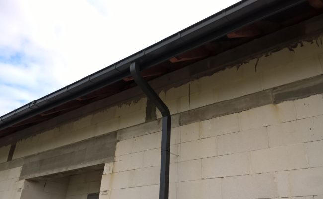 7. WP_20211019_12_00_38_Pro