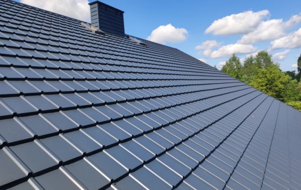 PRUSZYŃSKI TIGRA ANTRACYT