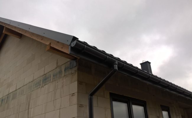 WP_20211218_13_04_57_Pro