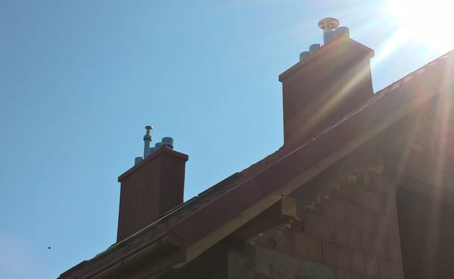 WP_20220328_10_53_42_Pro